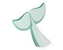 whale
